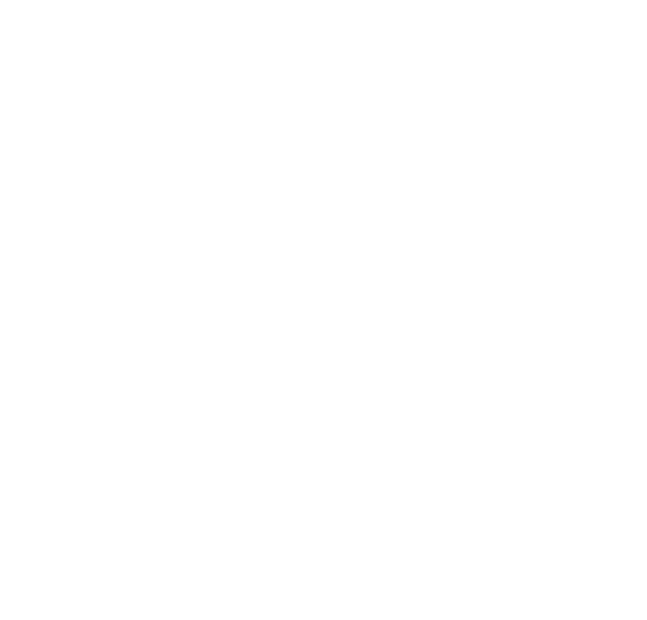 Schenker Deutschland AG