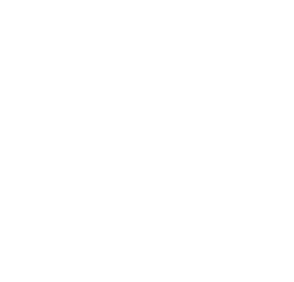 Wiese GmbH & Co. KG
